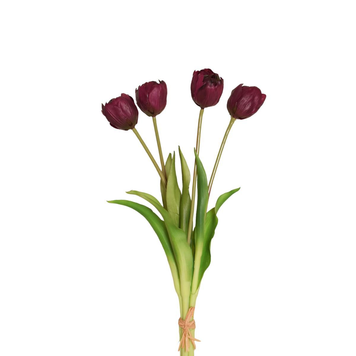 TULIPANO BOUQUET 4X 4F 8LVS CM.38 VIOLA