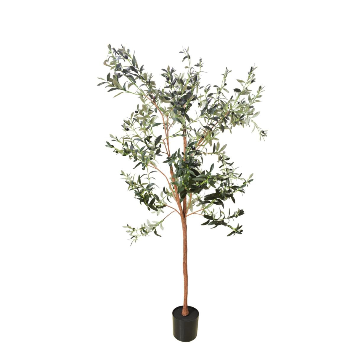 OLIVO PIANTA C/VASO CM.180 VERDE OLIVO PIANTA C/VASO CM.180 VERDE