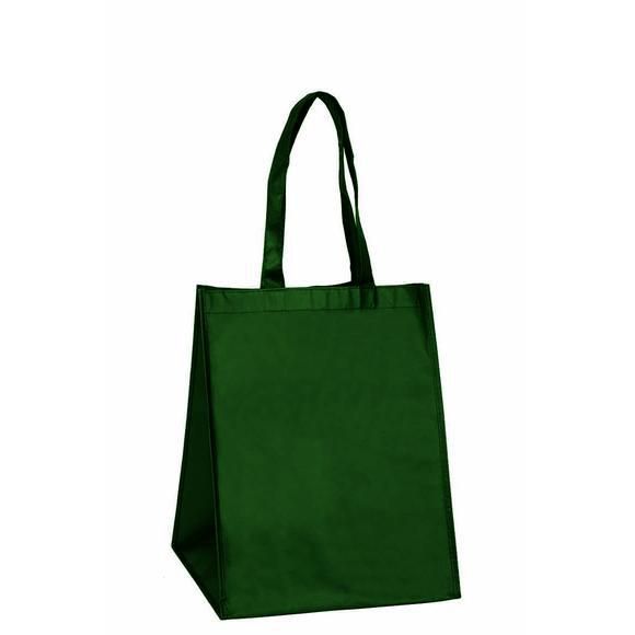 SET 10 SHOPPERS TNT PORTAPANETTONE 25X25X35 CM VERDE