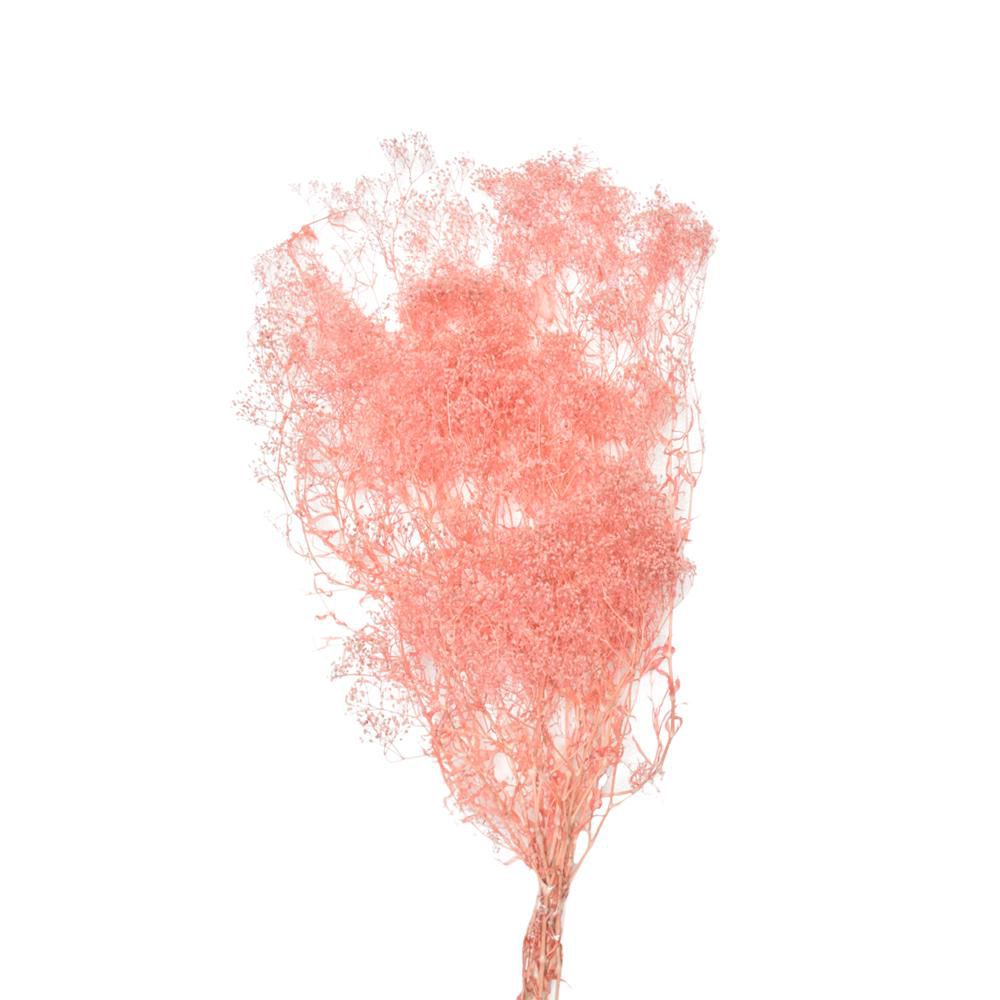 MINI GYPSOPHILA SACCHETTO GR.50 CIPRIA 141/P