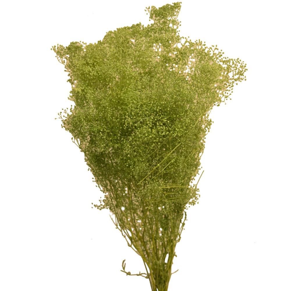 MINI GYPSOPHILA SACCHETTO GR.50 TITANITE 235/P