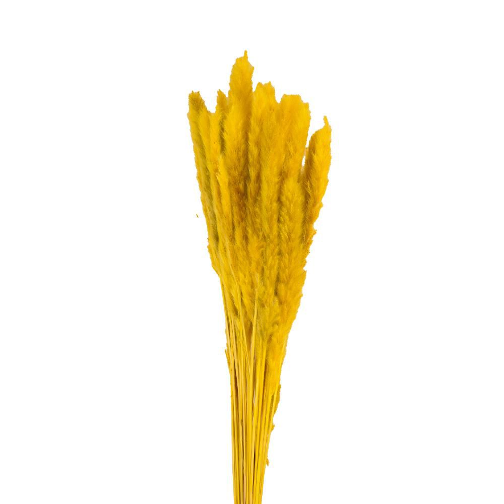 PAMPAS MINI CM 80 20 PZGIALLO ORO 03