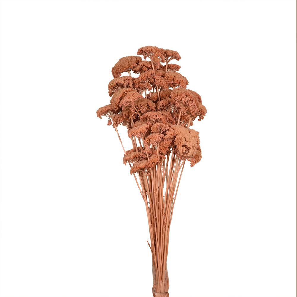 ACHILLEA SACCHETTO GR.150 CIPRIA 141/P