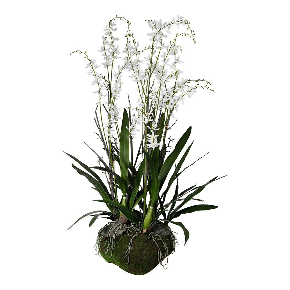 CIMBIDIUM PIANTA NATURAL TOUCH C/BULBO H.130 D.42 CM BIANCO