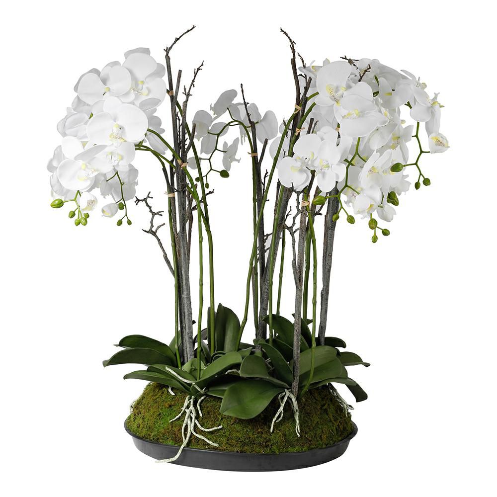 PHALAENOPSIS PIANTA NATURAL TOUCH C/BULBO H.90 D.45 CM BIANCO