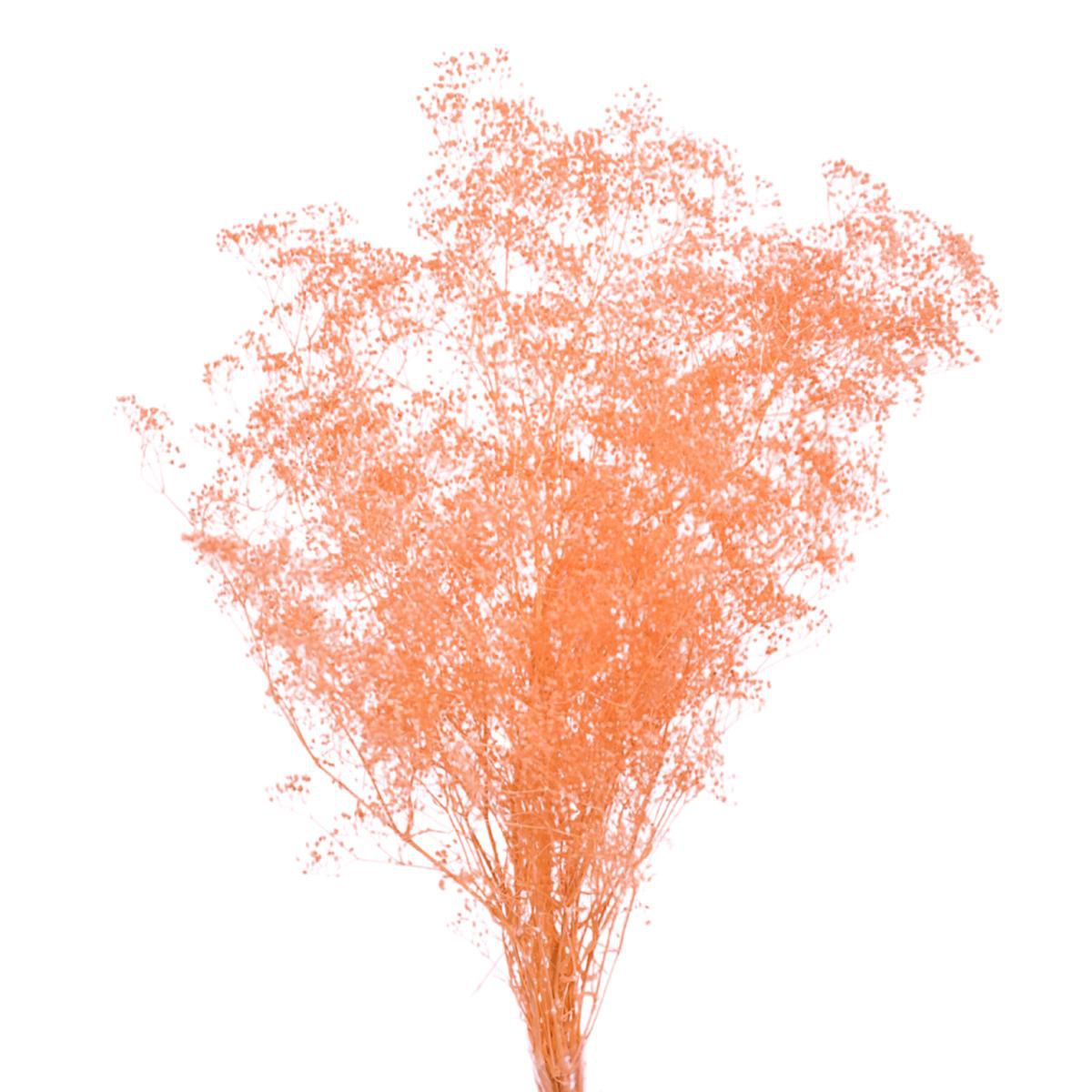 MINI GYPSOPHILA SACCHETTO GR.50 CM.52 PESCA 39/P