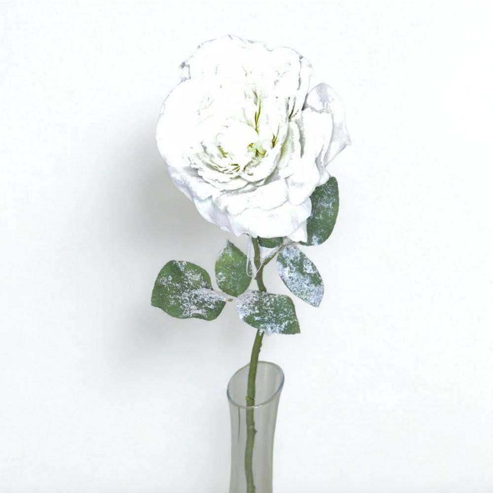 ROSA SOFIA INNEVATA BIANCO A.