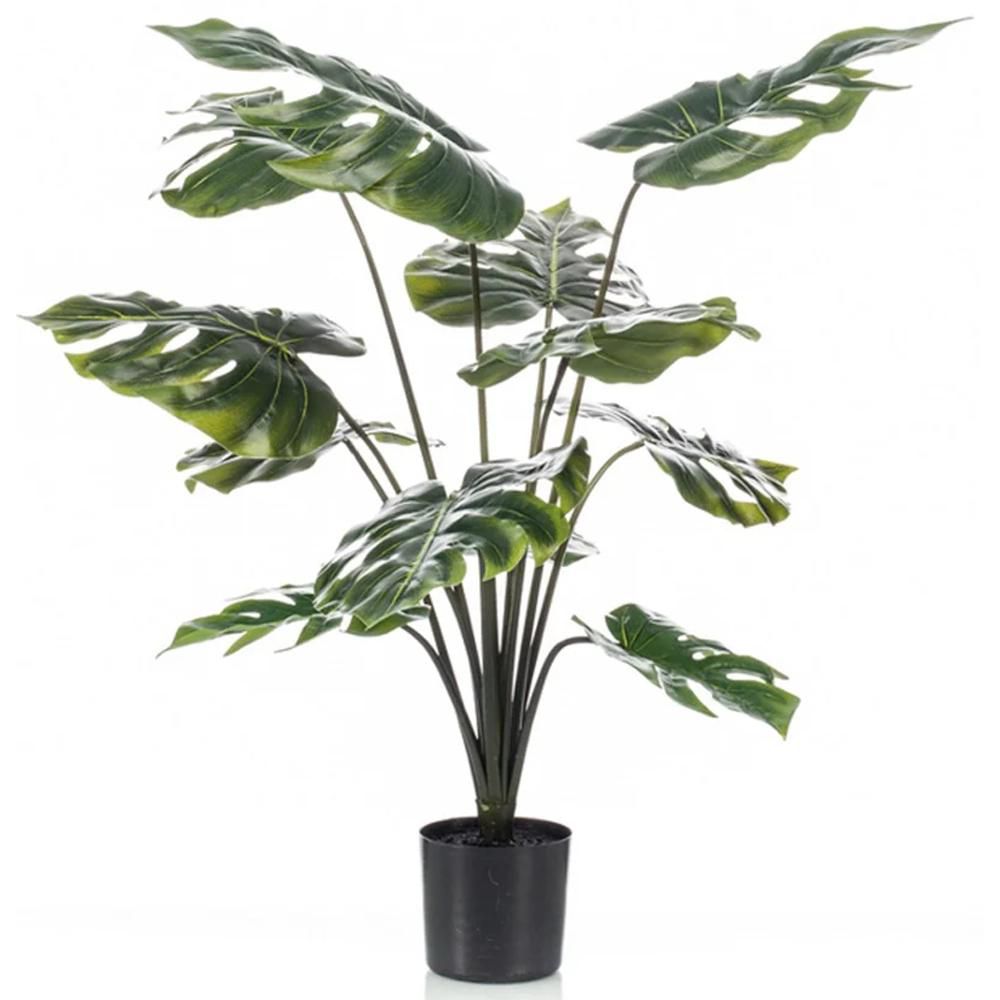 MONSTERA PIANTA C/VASO 12LVS CM.80 VERDE