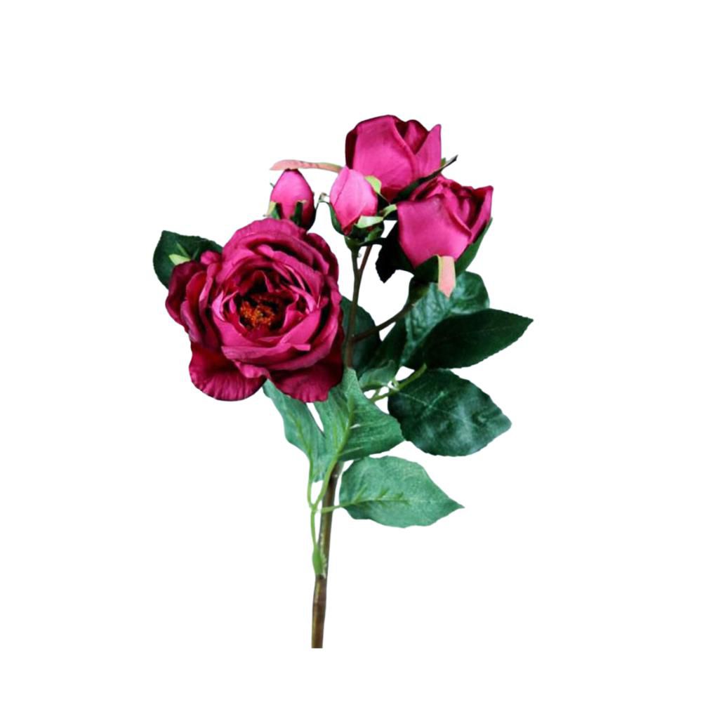 ROSA CABBAGE CM.45 BEAUTY