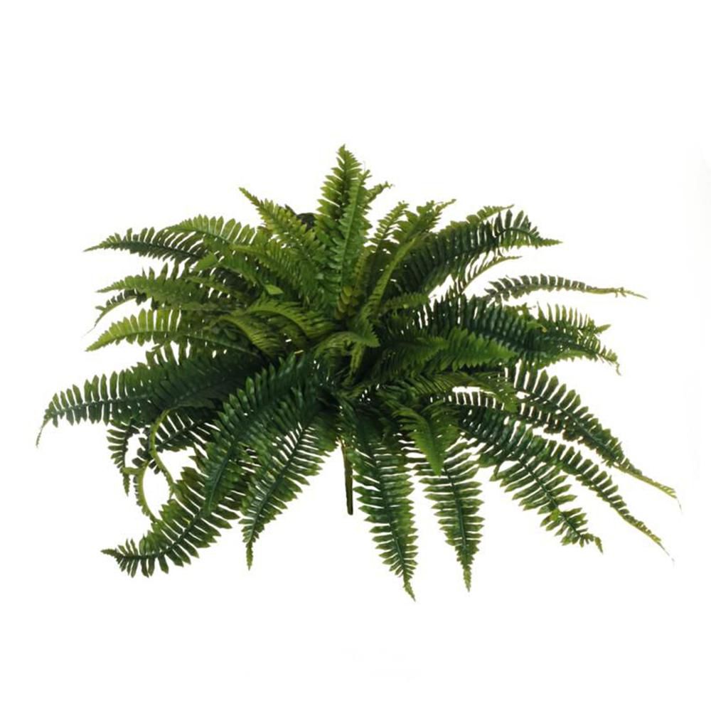 FELCE BOSTON PIANTA 56FNATURALI CM.66 VERDE