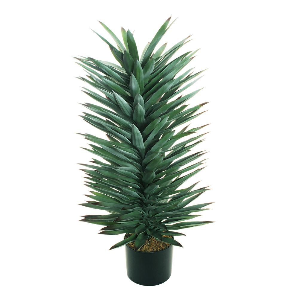 AGAVE PIANTA C/VASO 222F. D.24 CM H.115 CM VERDE/BURGUNDY