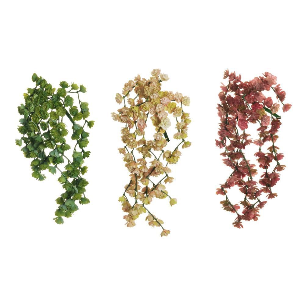 SET 3 MINI ECHEVERIA BUSH RICADENTE 10X CM.34 VERDE/ROSA/FUCSIA