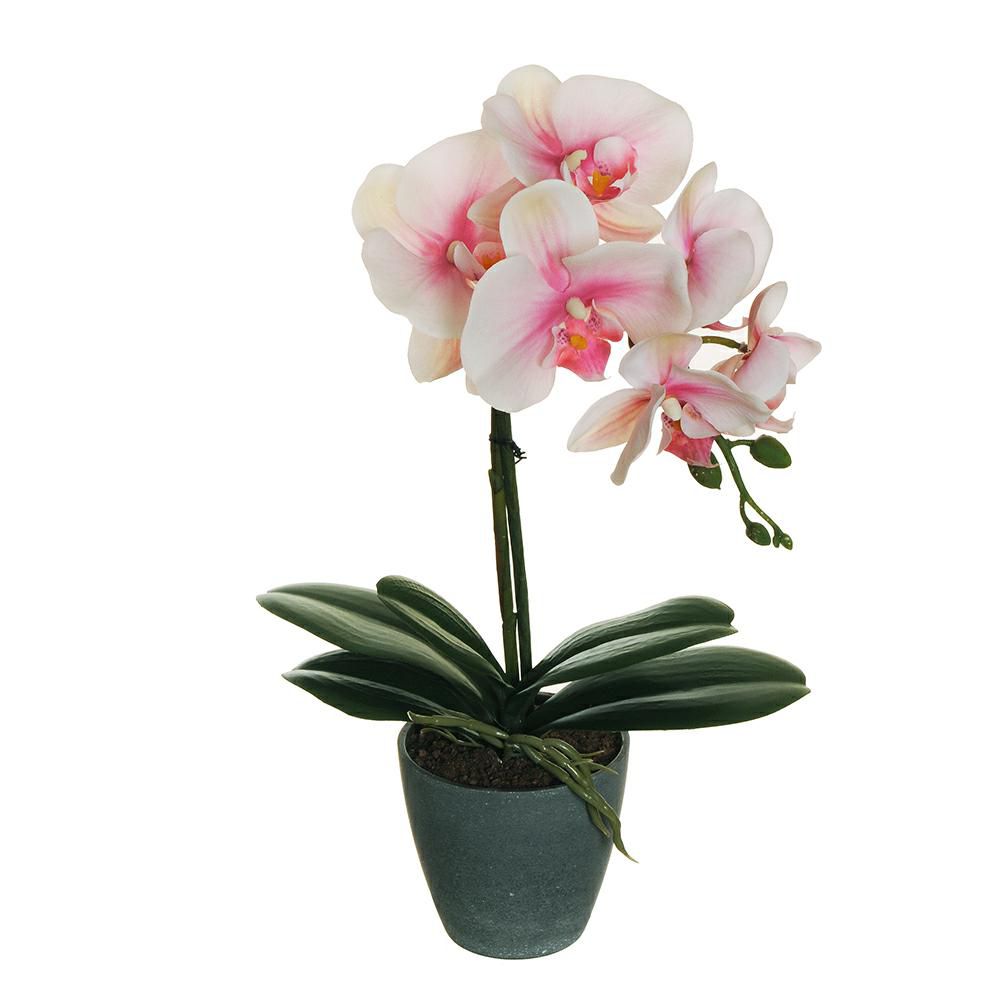 PHALAENOPSIS PIANTA REALTOUCH C/VASO 5F D.10 CM.40 BNC/RS/FCS