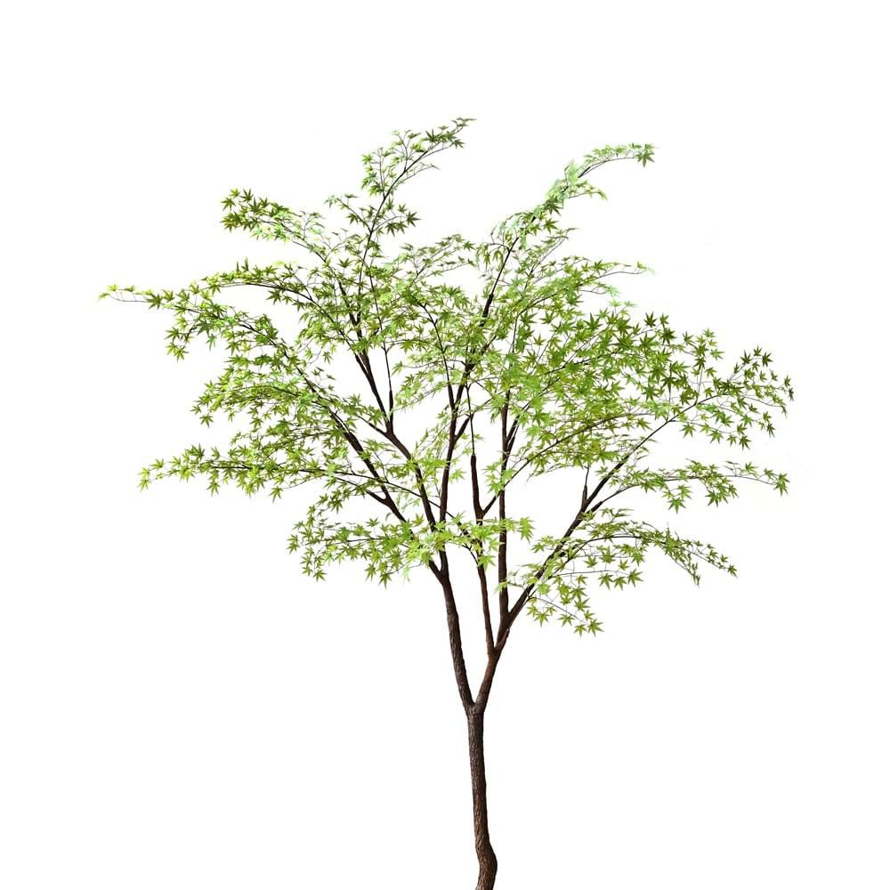 MINI MAPLE FOGLIE REAL TOUCH PIANTA C/BASE 30W CM.300 VERDE