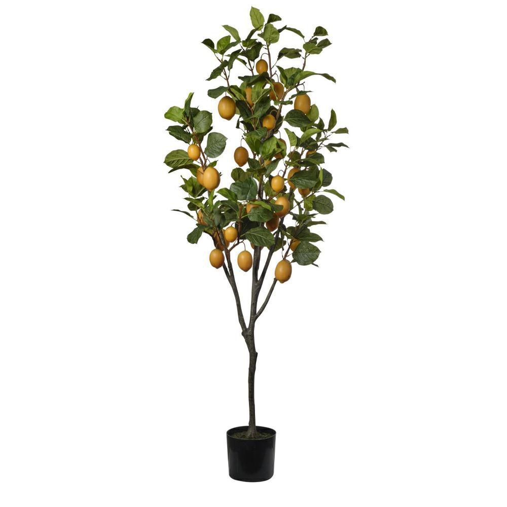 LIMONE PIANTA C/VASO CM.190 VERDE/GIALLO