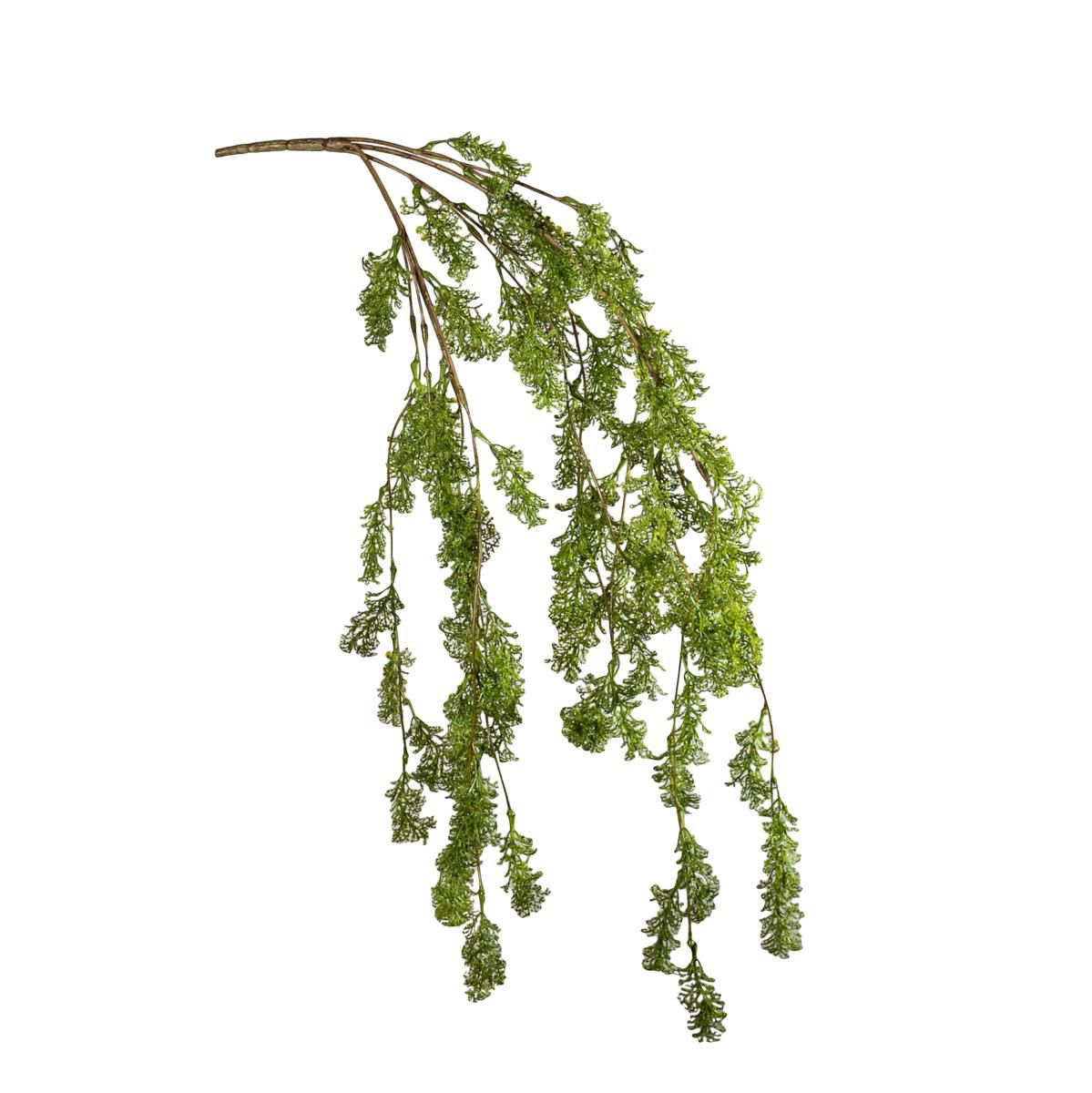 MOSS VINE BUSH VERDE MOSS VINE BUSH VERDE