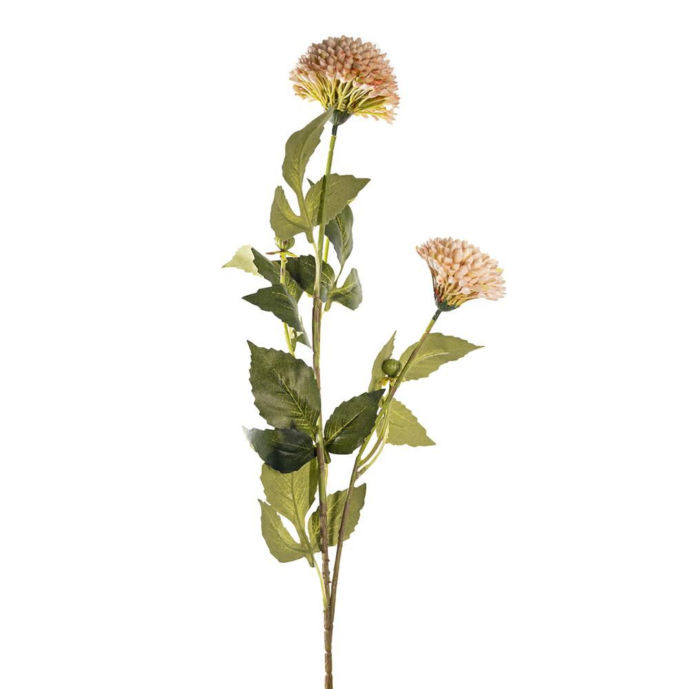 CRISANTEMO POMPON 3X CM.72 PESCA