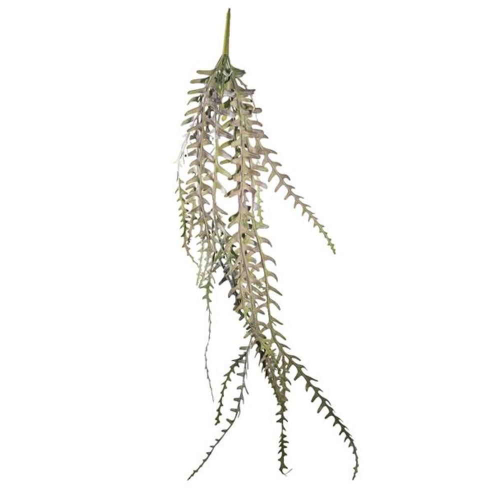 FELCE TROPICAL FERN VINE BUSH CM.135 NATURALE