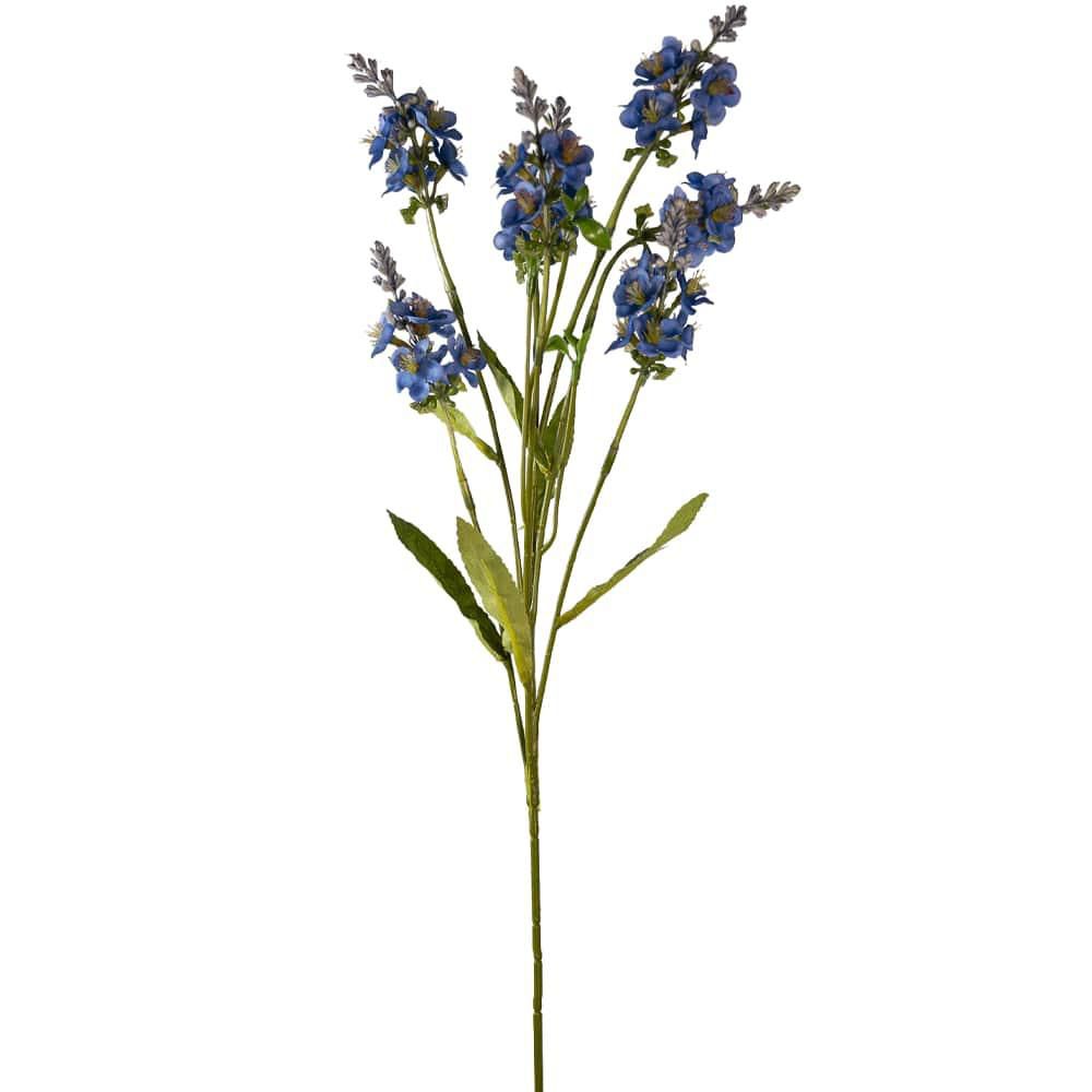 MINI ORNITOGALLO 6X CM.60 BLUE