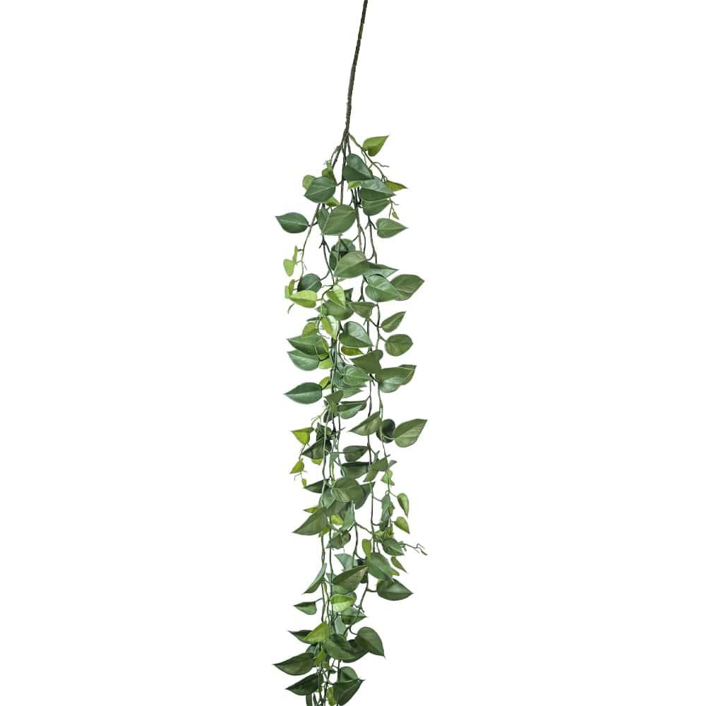 GEYE GOLDEN VINE RICADENTE 192 CM VERDE