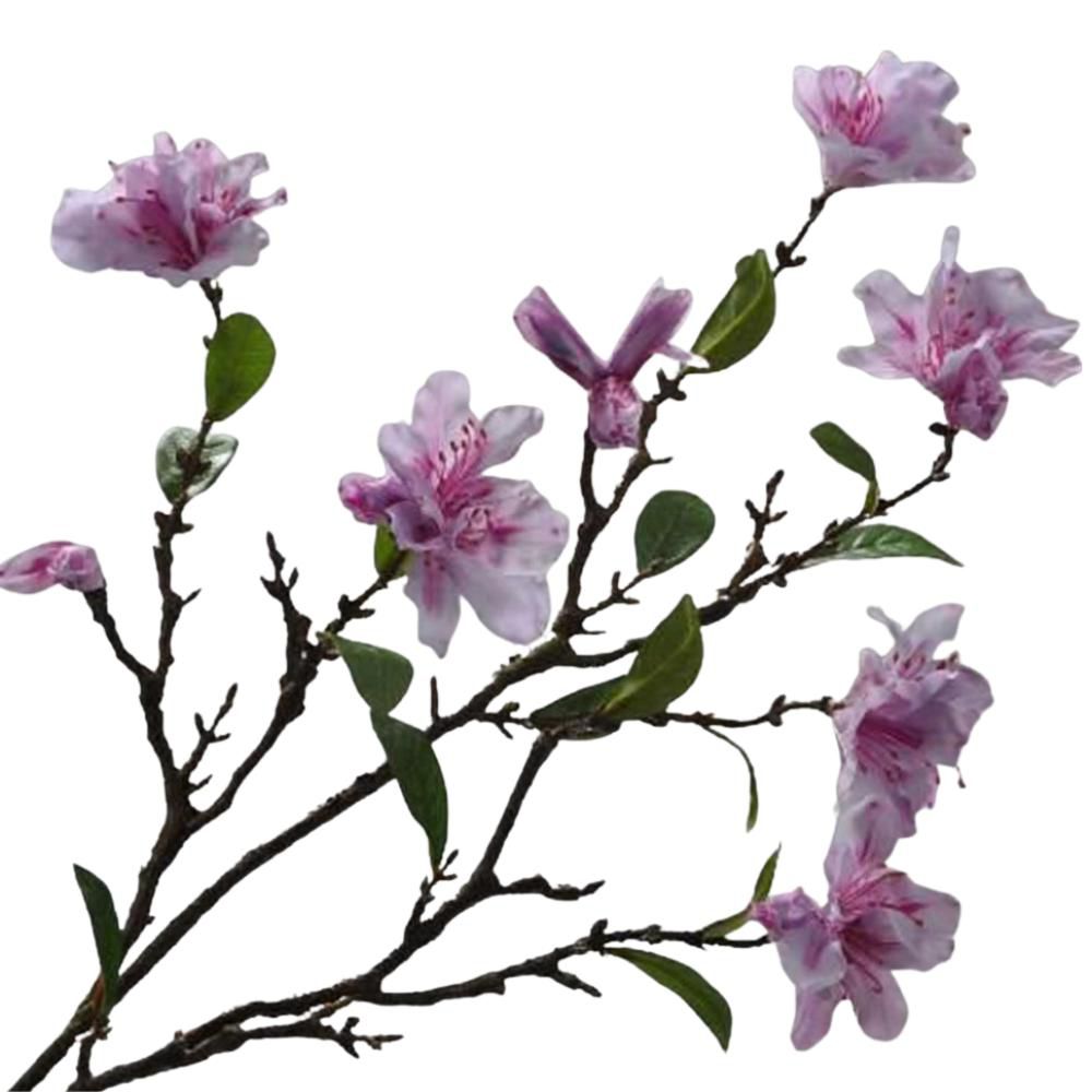 RODODENDRO SPRAY CM.91 LAVANDA