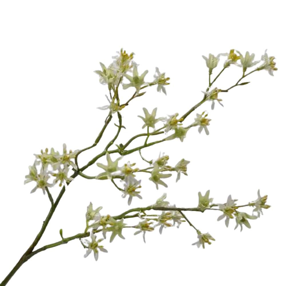 DAISY SPRAY CM.46 CREMA/VERDE