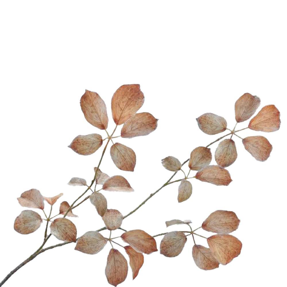 FOGLIAME SPRAY INNEVATOCM.91 MARRONE