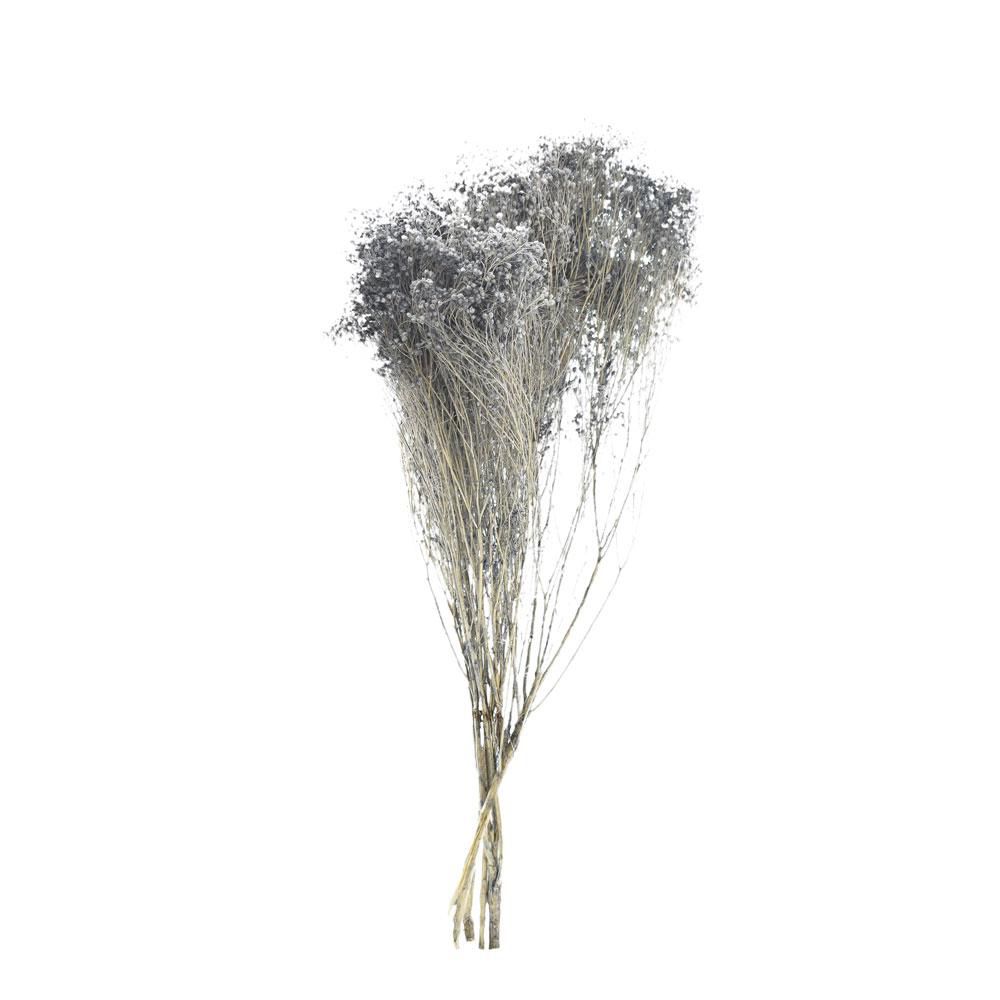 BROOM BLOOM GR.100 GRIGIO/AVIAZIONE