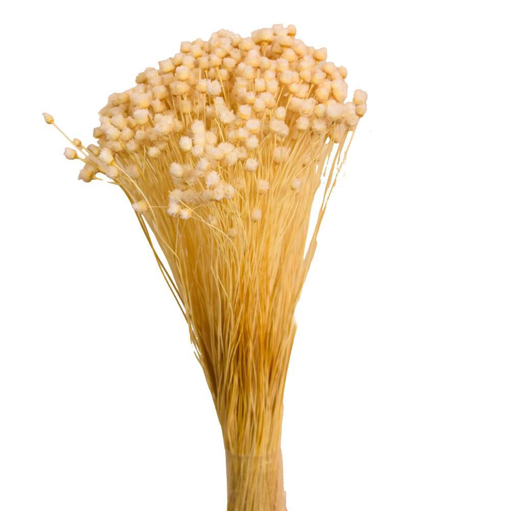 JASILDA GR.100 CM.50 BIANCO/01