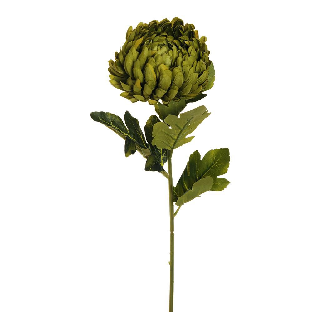 CRISANTEMO 4F CM.76 VERDE