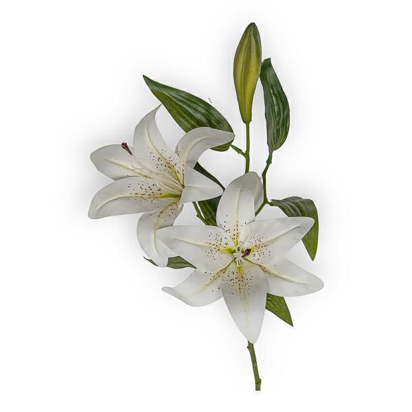 LILIUM RAMO CM.73 BIANCO