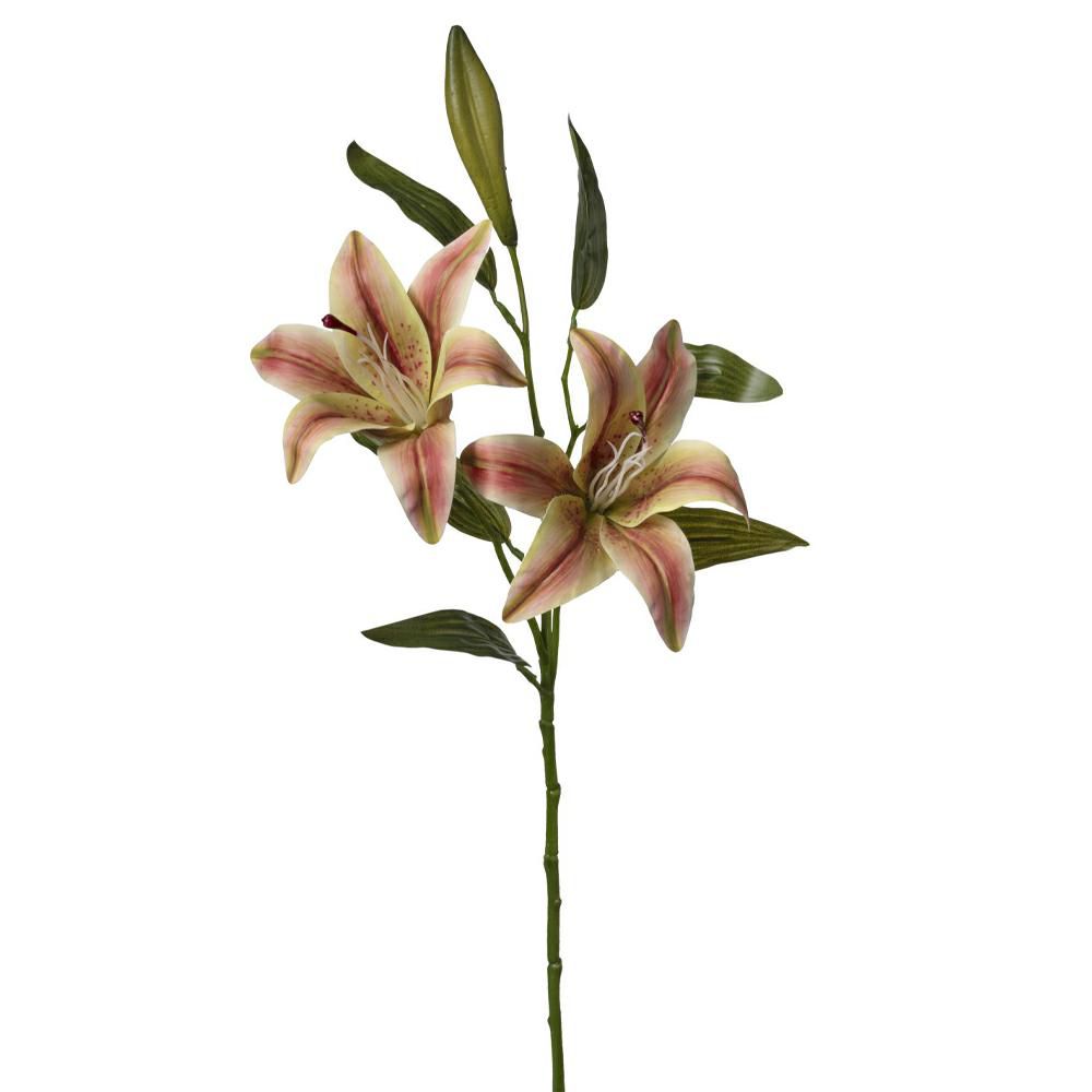 LILIUM RAMO CM.73 ARANCIO/MARRONE