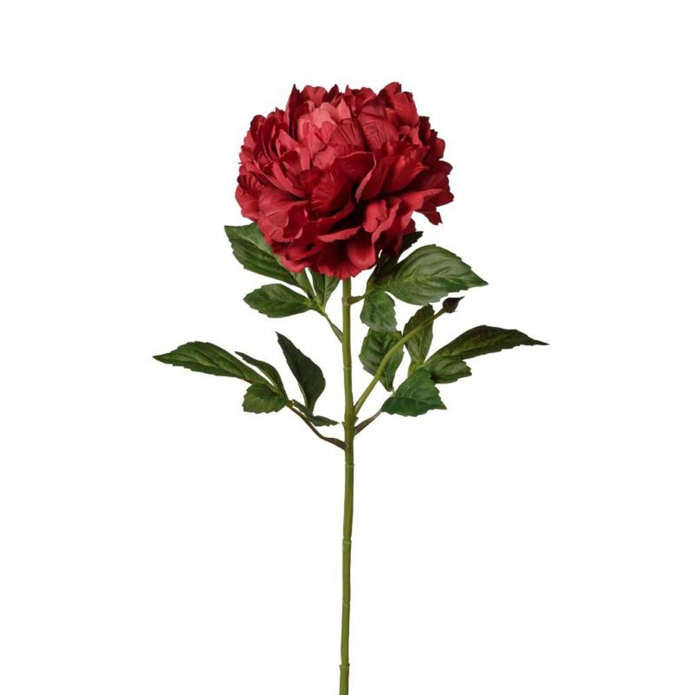 PEONIA SPRAY CM.74 RED