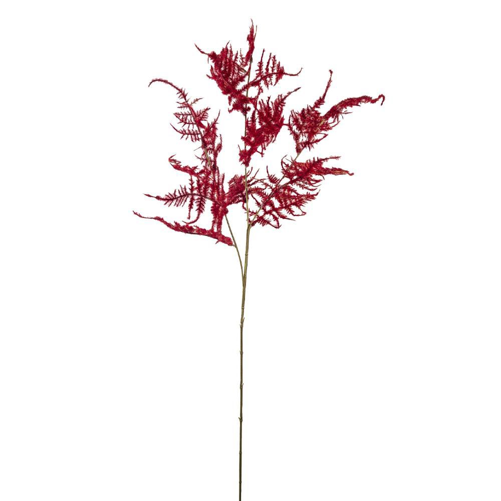 ASPARAGUS SPRAY 3X CM.85 ROSSO