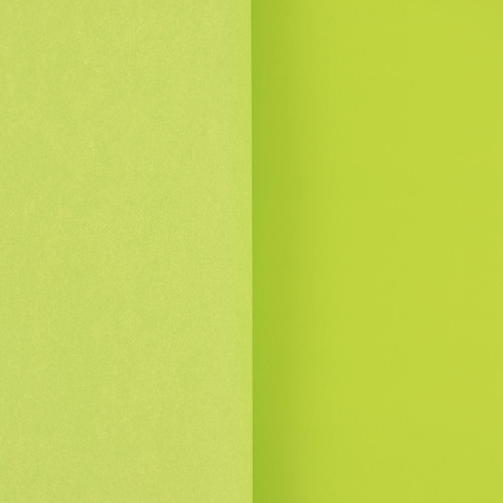 BOBINA PPL ACCOPPIATA C/VELINA CM 100X25 MT VERDE MELA