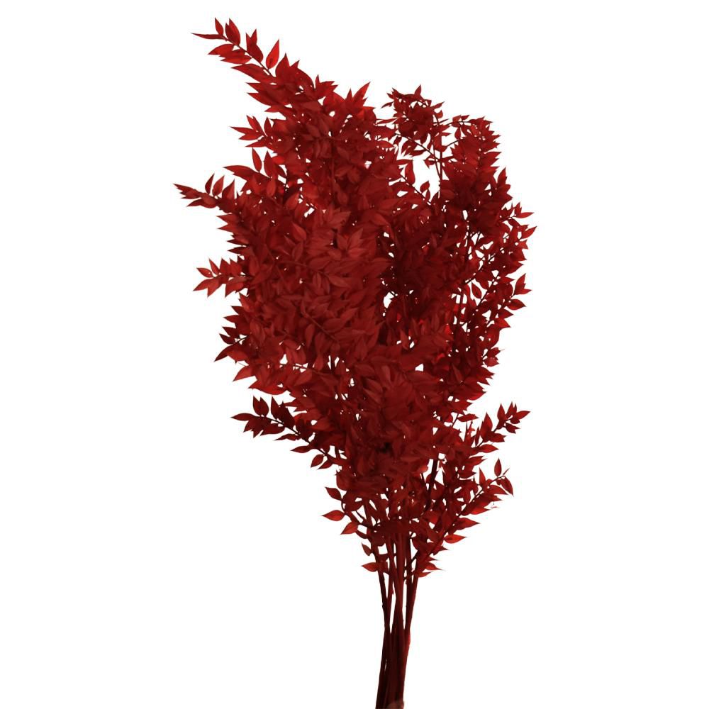 RUSCUS MAZZO PRESERVATOGR.150 CM.80 ROSSO 10/P