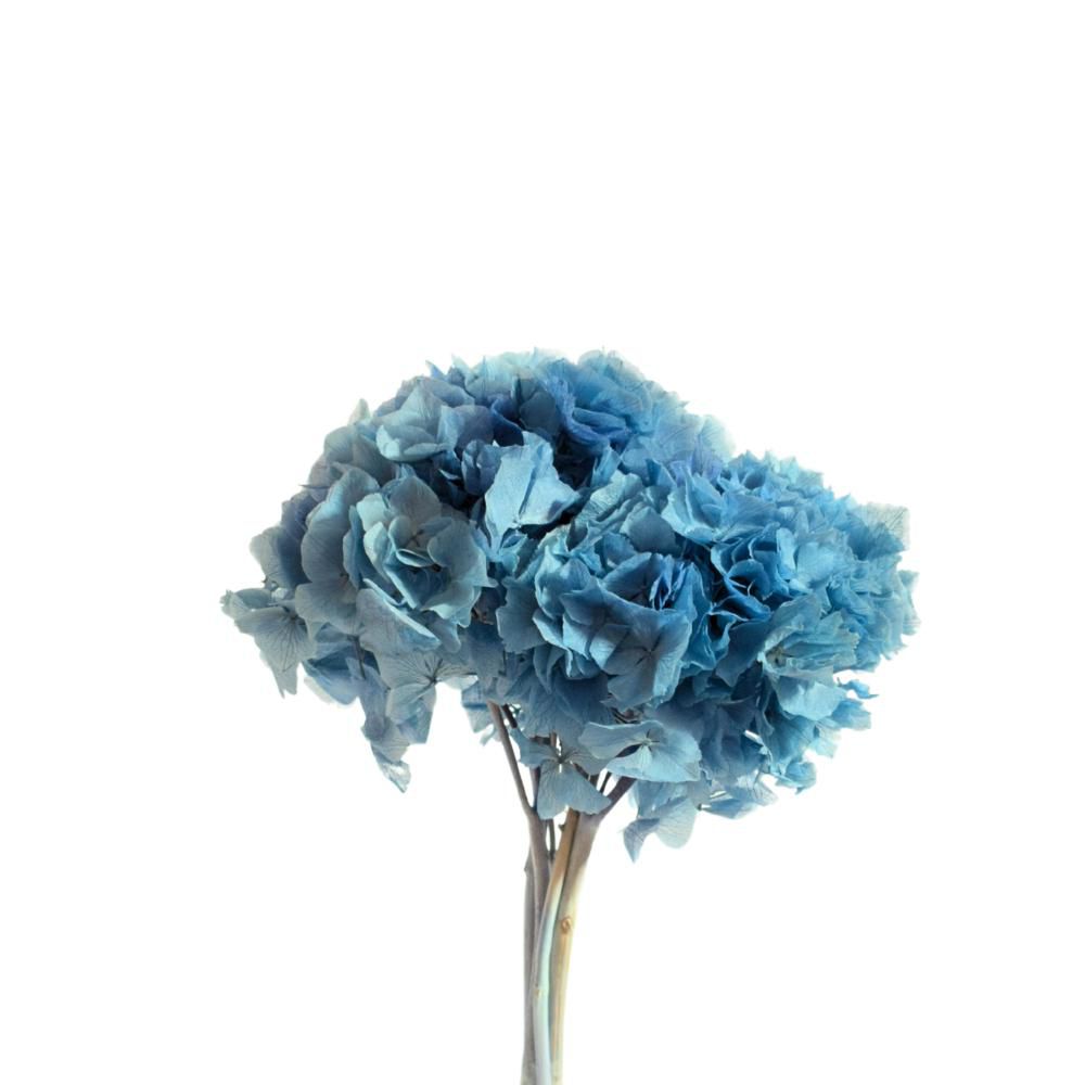 HYDRANGEA STABILIZZATA CM.40 ZAFFIRO 122/P