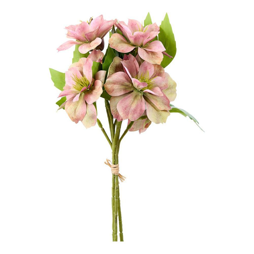 HELLEBORUS BUSH 3X CM.30 ROSA