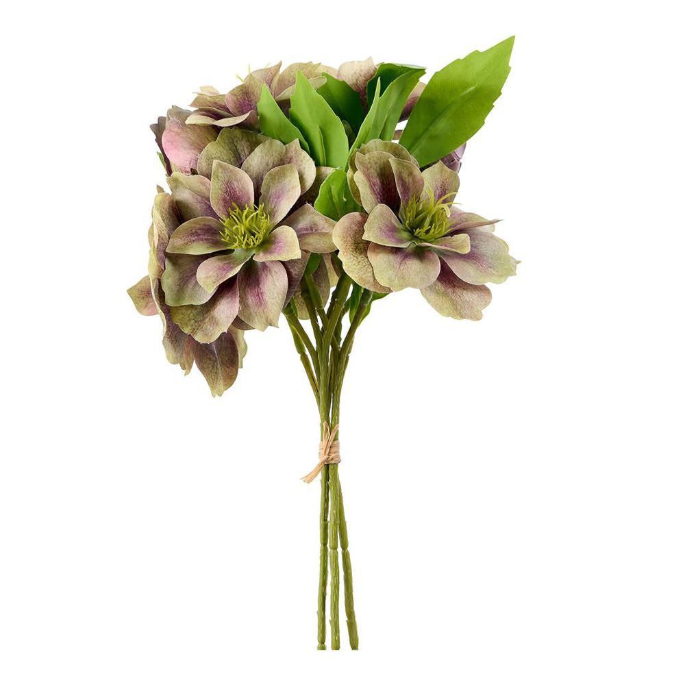 HELLEBORUS BUSH 3X CM.30 VERDE