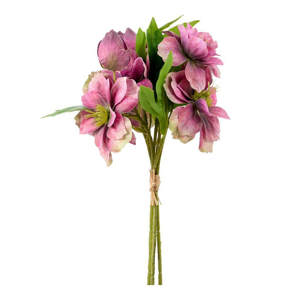 HELLEBORUS BUSH 3X CM.30 BEAUTY