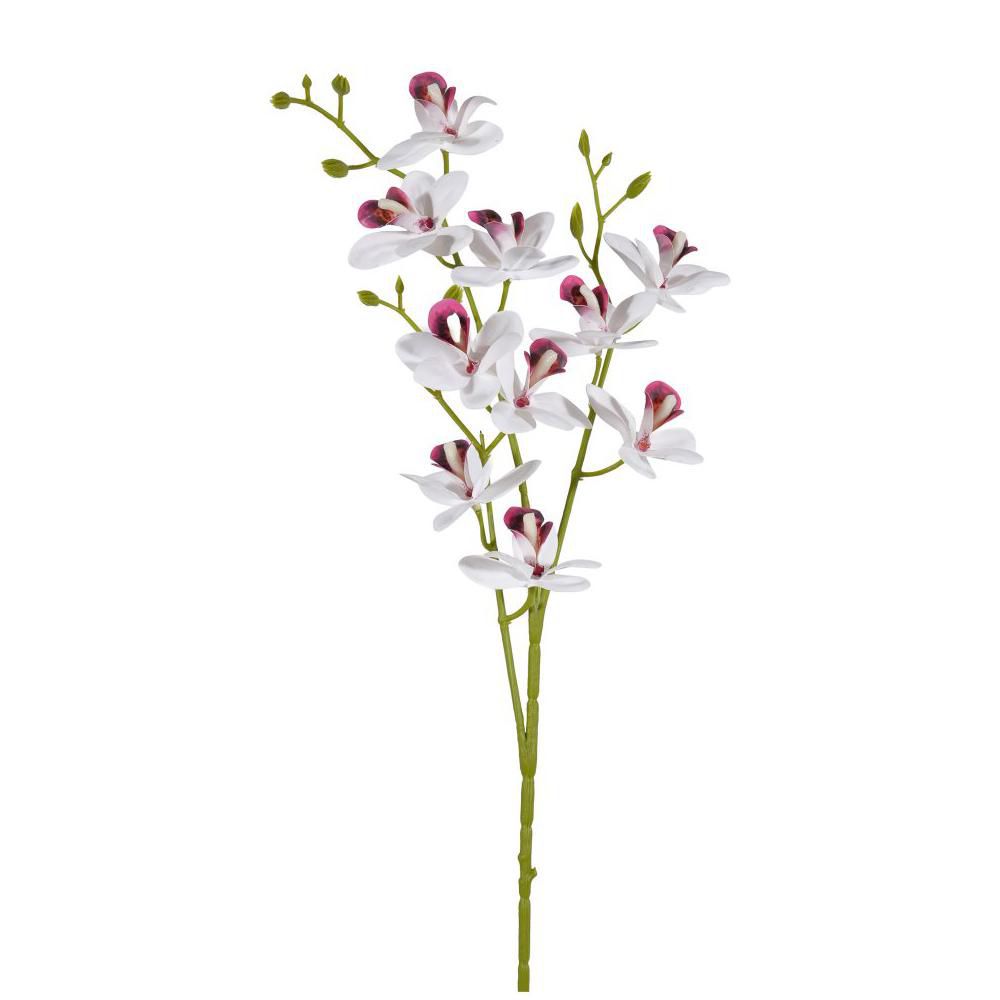 MINI CIMBIDIUM RAMO 3X CM.85 BIANCO