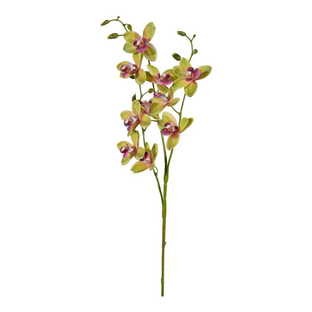 MINI CIMBIDIUM RAMO 3X CM.85 VERDE