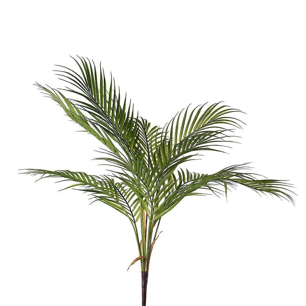 BUSH KENTIA 21X CM.81 VERDE