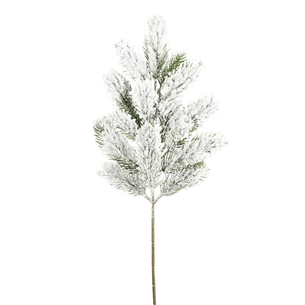 ABETE NORMANDIANO RAMO CM.49 INNEVATO