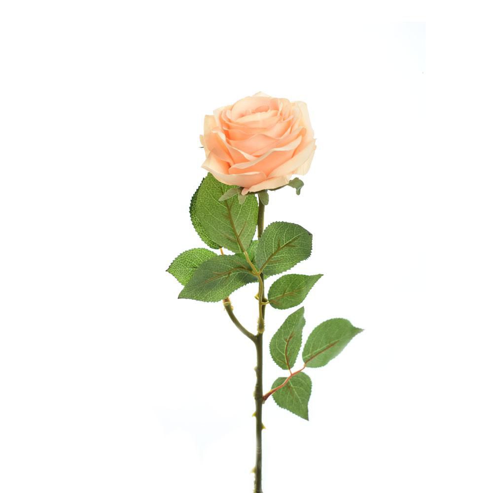 ROSA ECUADOR 1F CM.65 SALMONE