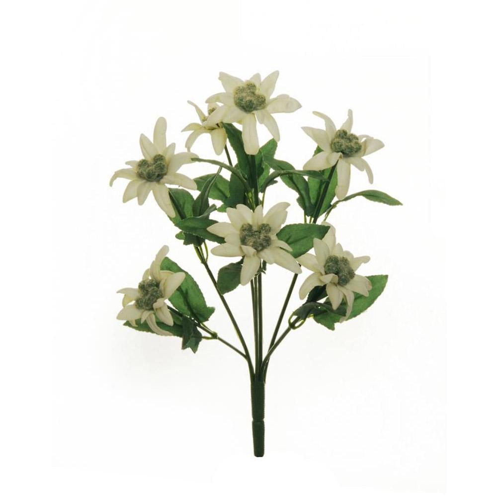 STELLA ALPINA BUSH 7F CM.31 BIANCO