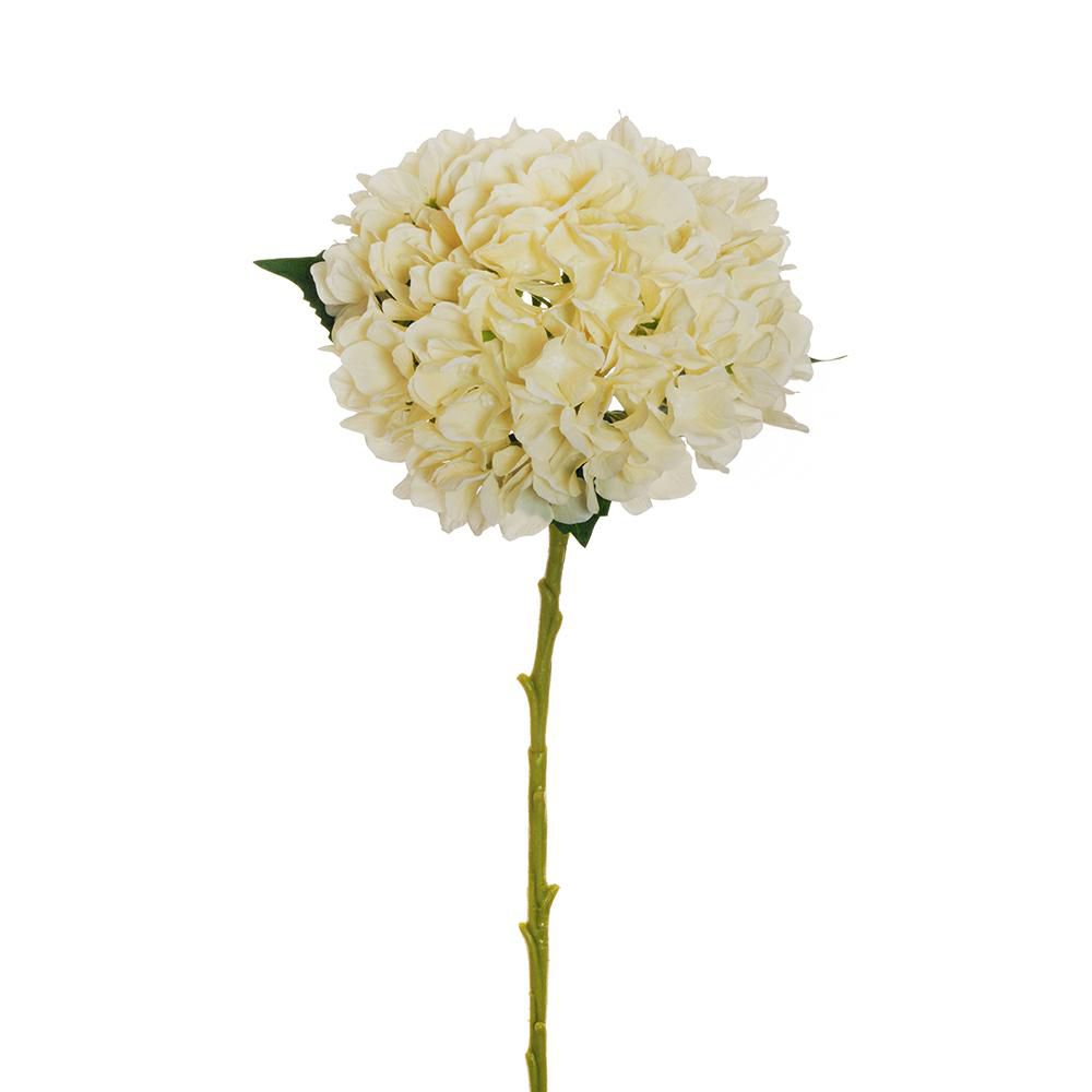 HYDRANGEA JULIET 3F D.18 CM H.50 CM CREMA