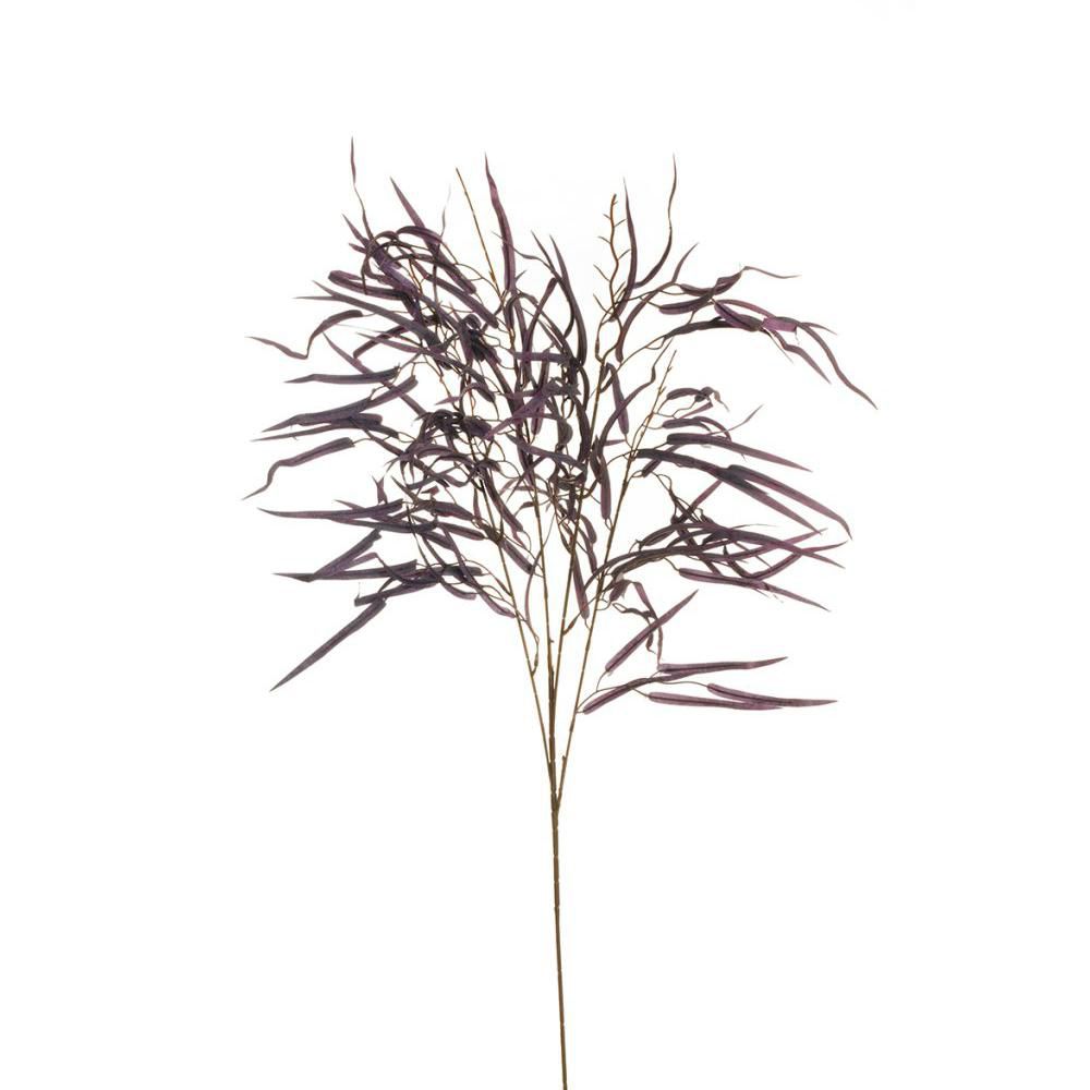 GREVILLEA SPRAY RAMO 4XCM.110 VIOLA