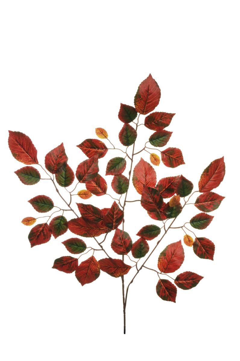 FAGGIO RAMO 3X 48F CM.67 VERDE/ARANCIO BRUCIATO