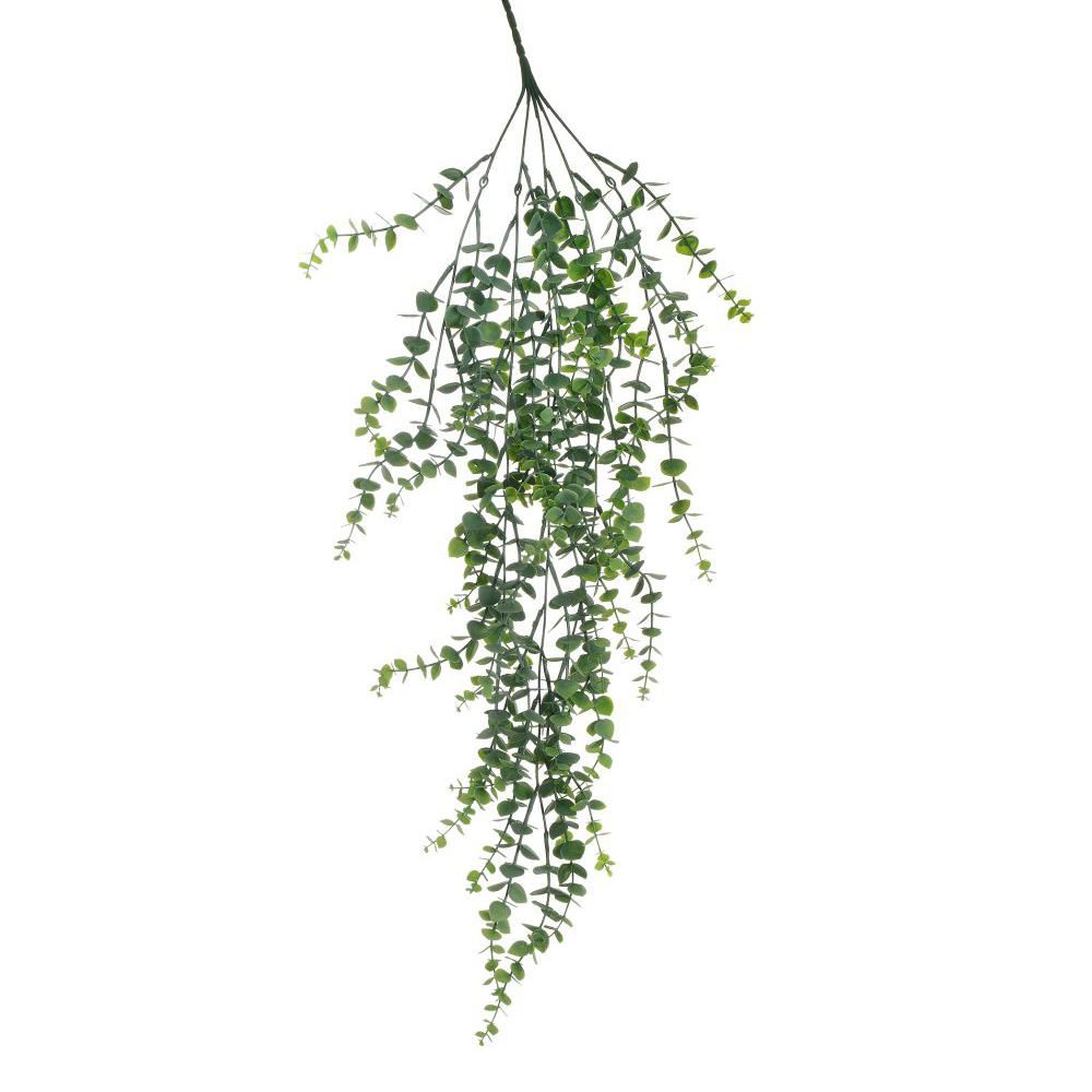 EUCALYPTUS CADENTE BUSH5X CM.84 VERDE